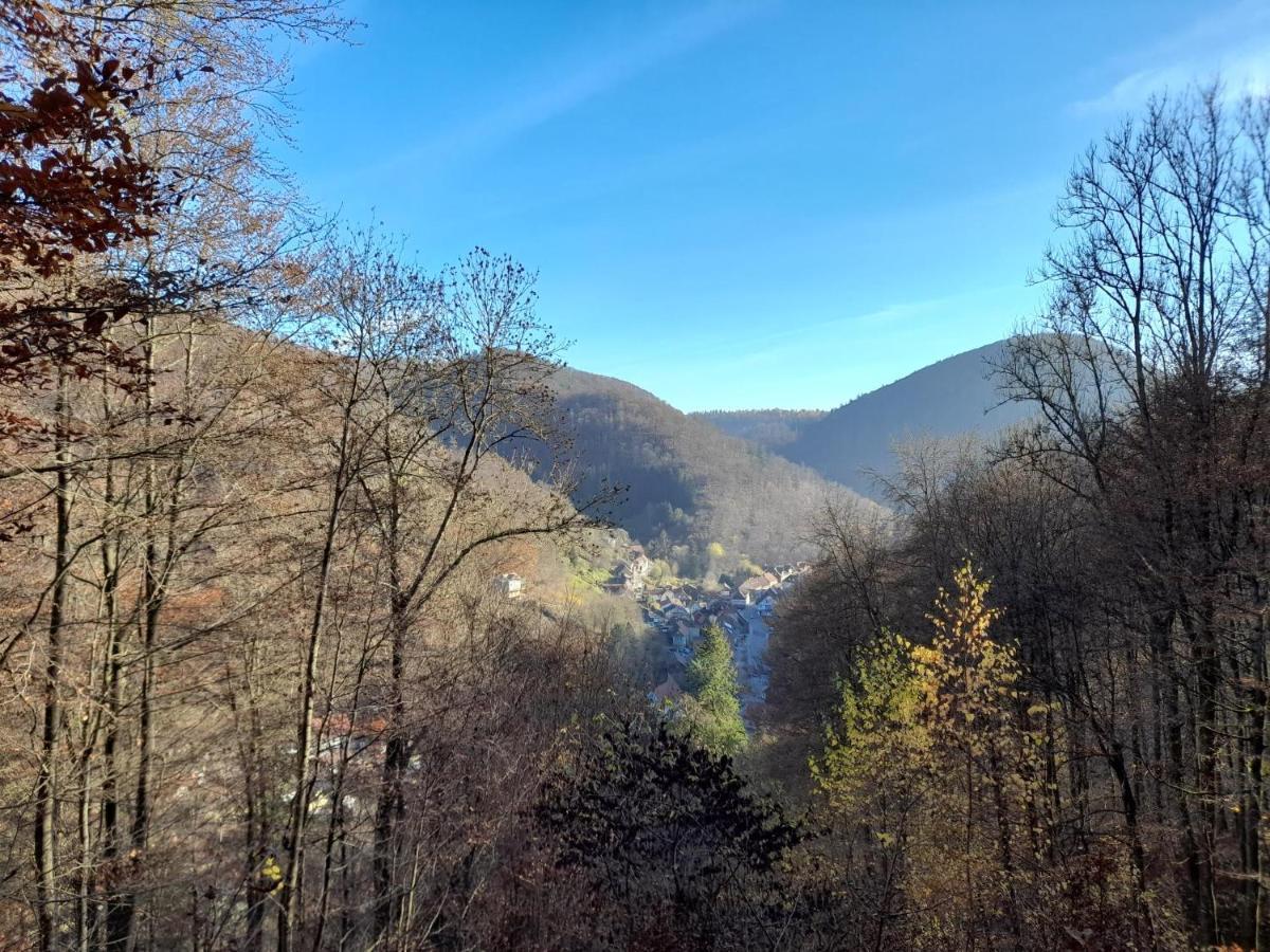 Hotel Silbertanne Hohegeiß Dış mekan fotoğraf