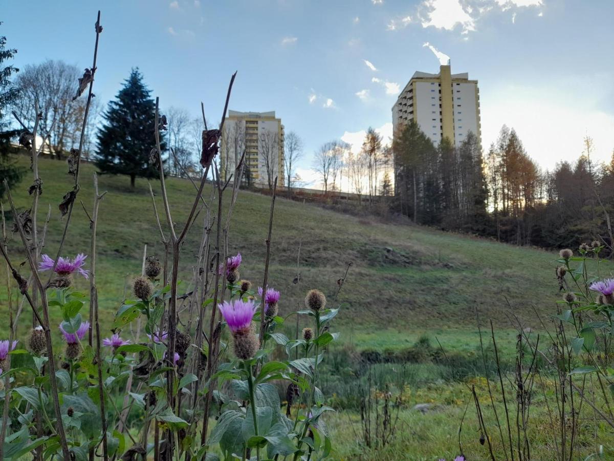 Hotel Silbertanne Hohegeiß Dış mekan fotoğraf